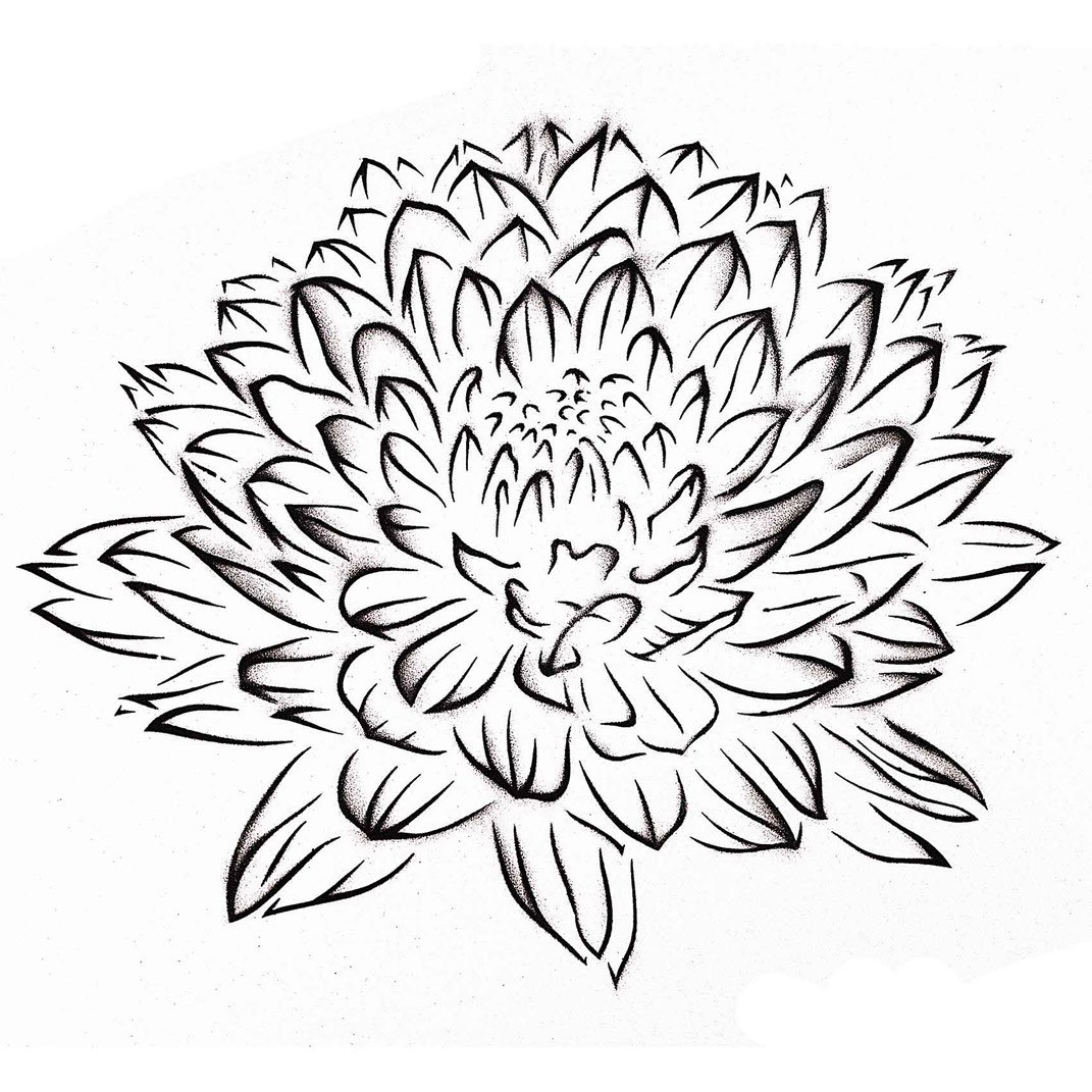 kostenlose CHRYSANTHEME STENCIL / SCHABLONE VORLAGE zum runterladen und selberschneiden für deine Stencil Art, Street Art, Urban Art und Graffiti Projekte.