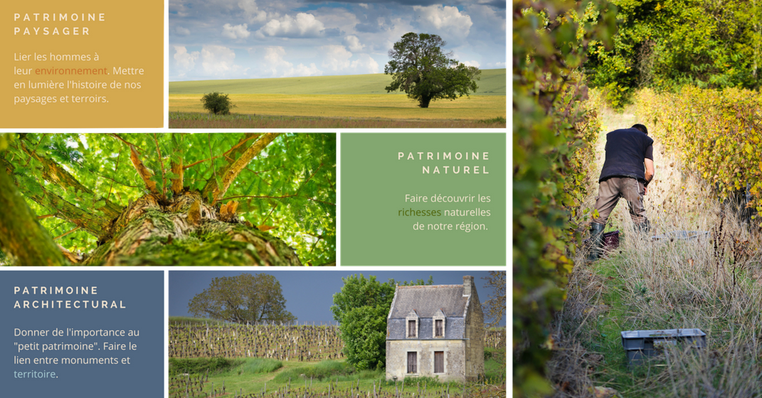 Préservation et valorisation du patrimoine en Touraine