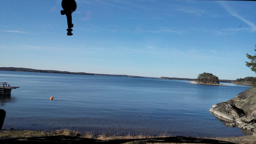 Bild eines erzogenen Mannes