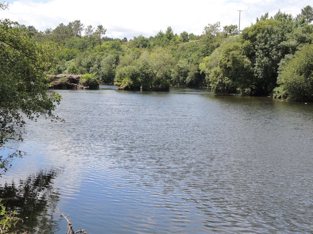 Rio Ulla bei Herbon.