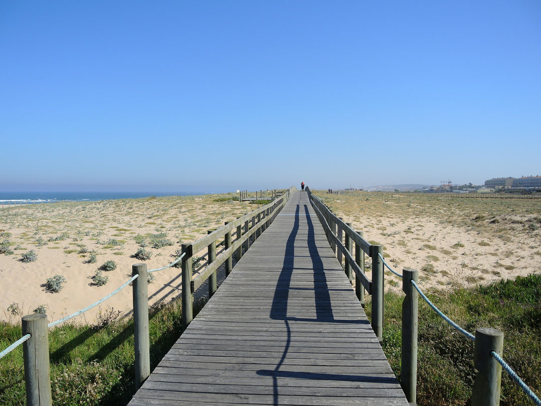 Die Holzstege sint typisch für portugiesische Atlantikküste. Sie führen oft über 10 km am Strand entlang.