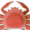 Crab with egg