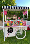 CARRITO DE CHUCHES 