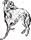 Snap dog´s