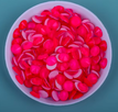 Sirius strassi no hotfix neon rose electric DeLite