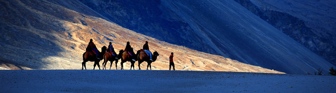 Rundreise durch Ladakh ins schöne Tal von Nubra und zum Pangong-See