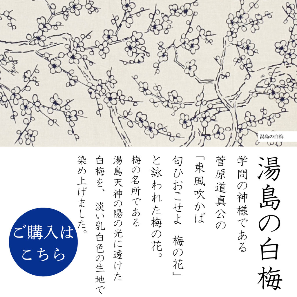 手ぬぐい：湯島の白梅 Yushima-no-Shiraume
