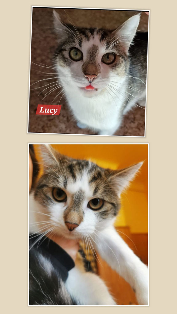 Lucy ♀️