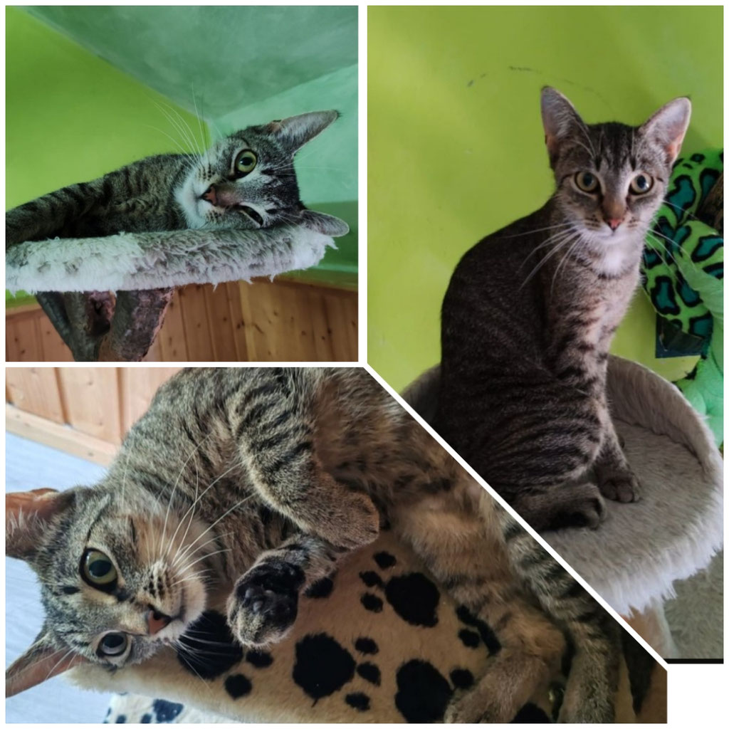 ♀️