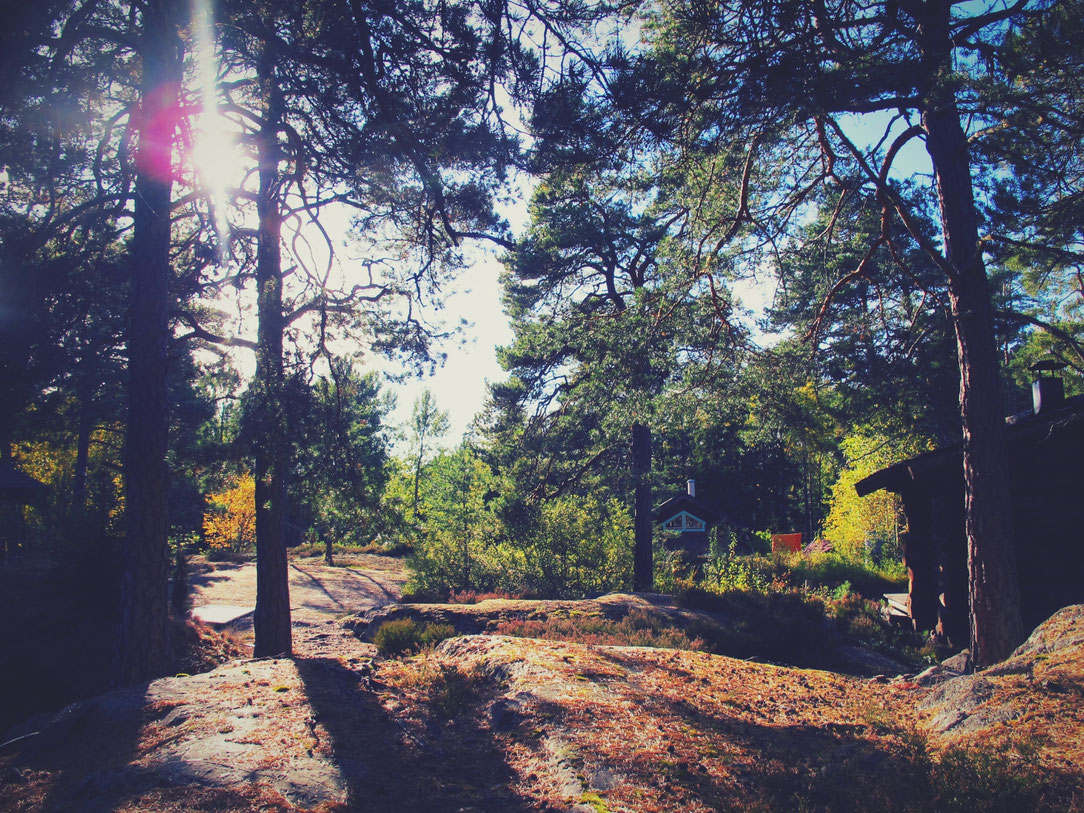 bigousteppes suède cabane bois forêt