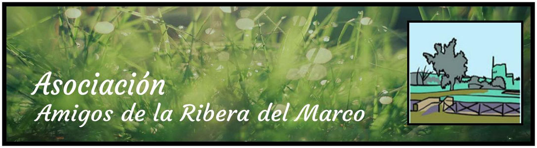 Asociación Amigos de la Ribera del Marco