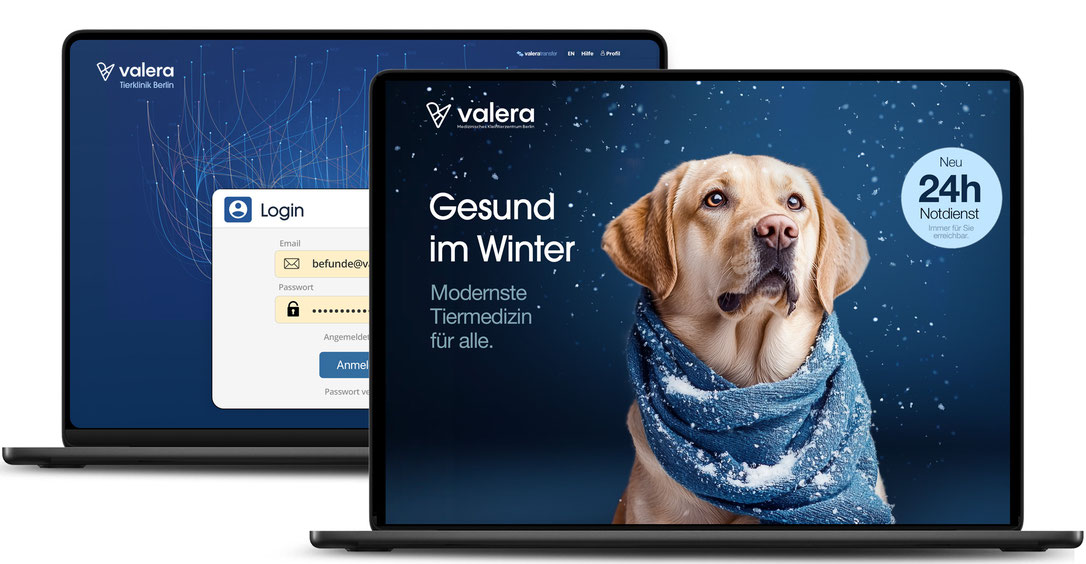 Marketing für Tierklinik