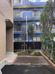 立川市で剪定する植木屋「纏造園」