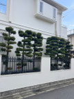 世田谷区で剪定する植木屋「纏造園」