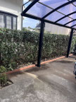 横浜市青葉区で剪定する植木屋「纏造園」
