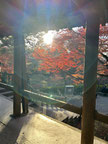 京都 東福寺 境内　紅葉の名所
