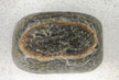 Piedra especial con forma elíptica en el centro.