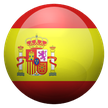 spagnolo su skype