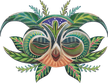 cacao mama owl spirit drawing