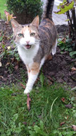 Foto: Oetken