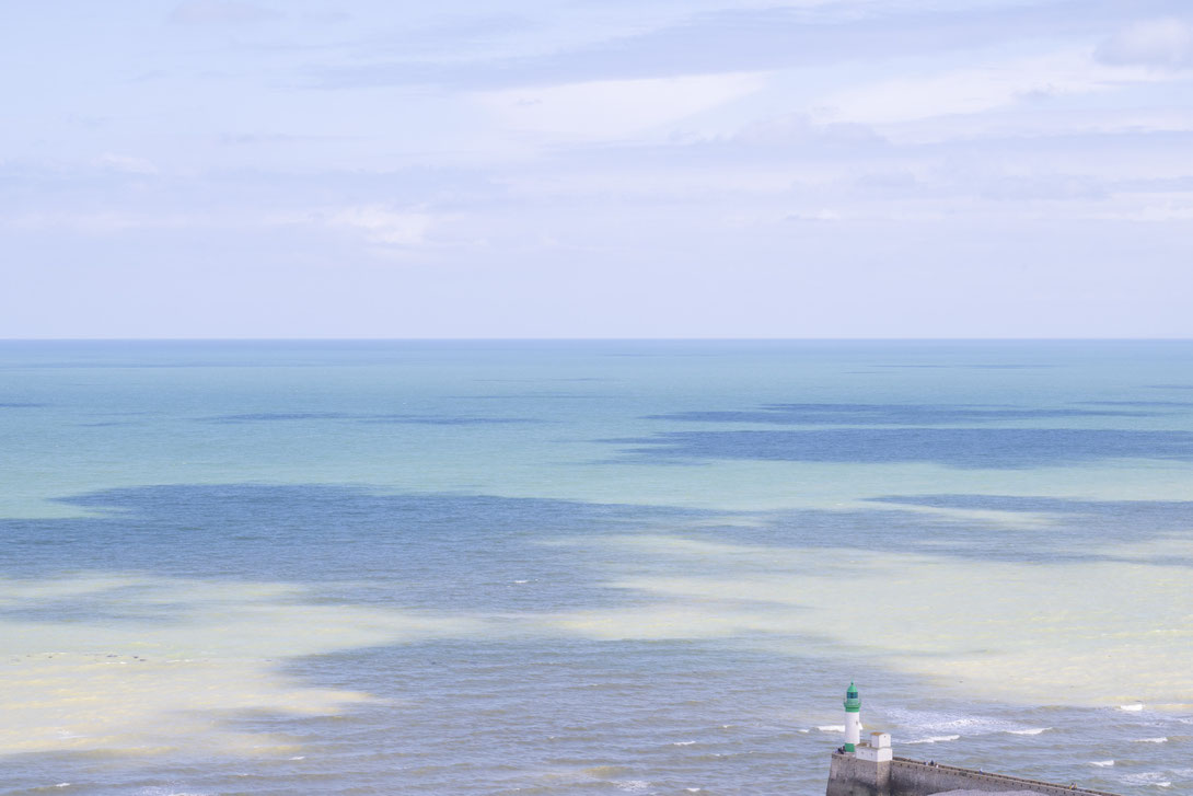 Fotografiert mit Nikon Z8 und Nikkor Z 85mm F/1.2 S in Le Trepore, Frankreich