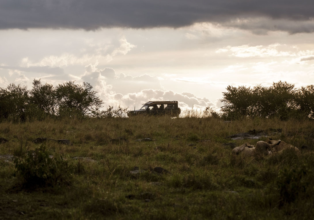 Sonnenaufgang Masai Mara, Kenia