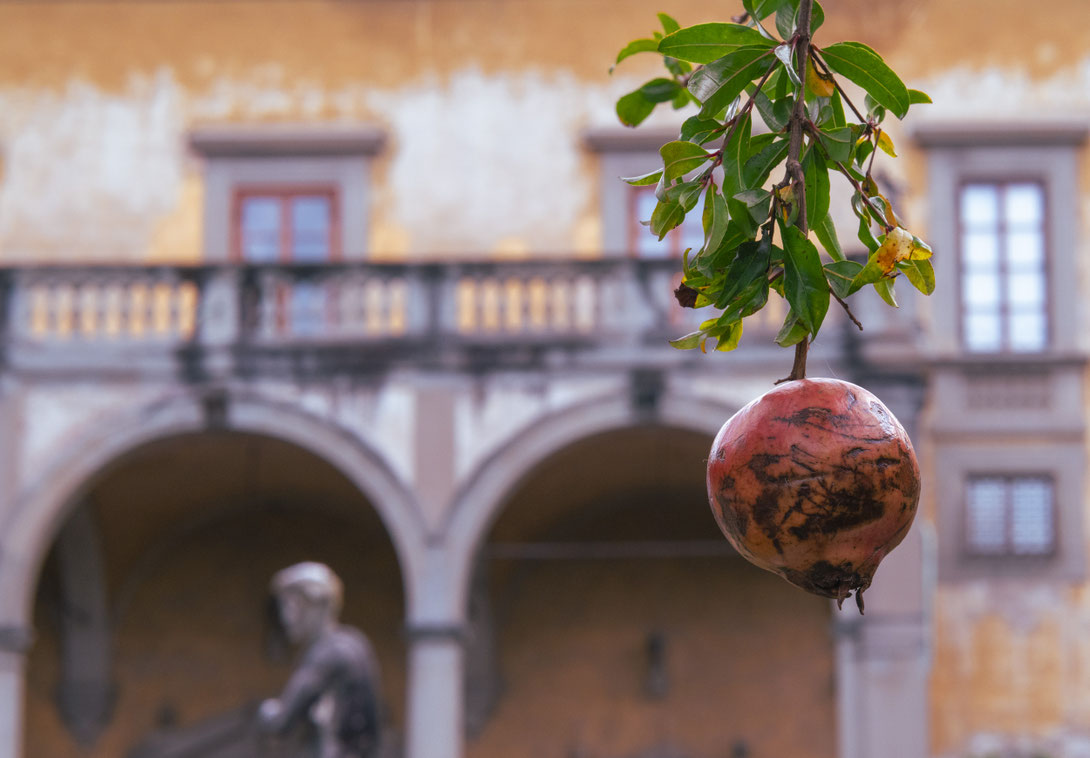 Artigianato e Palazzo, Foto Frauenreise Florenz