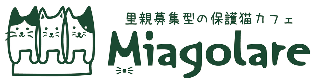 保護猫カフェMiagolare ミャゴラーレ