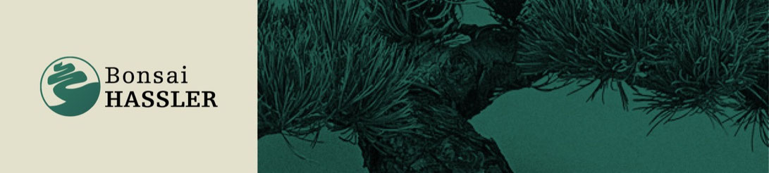 www.bonsai-hassler.de