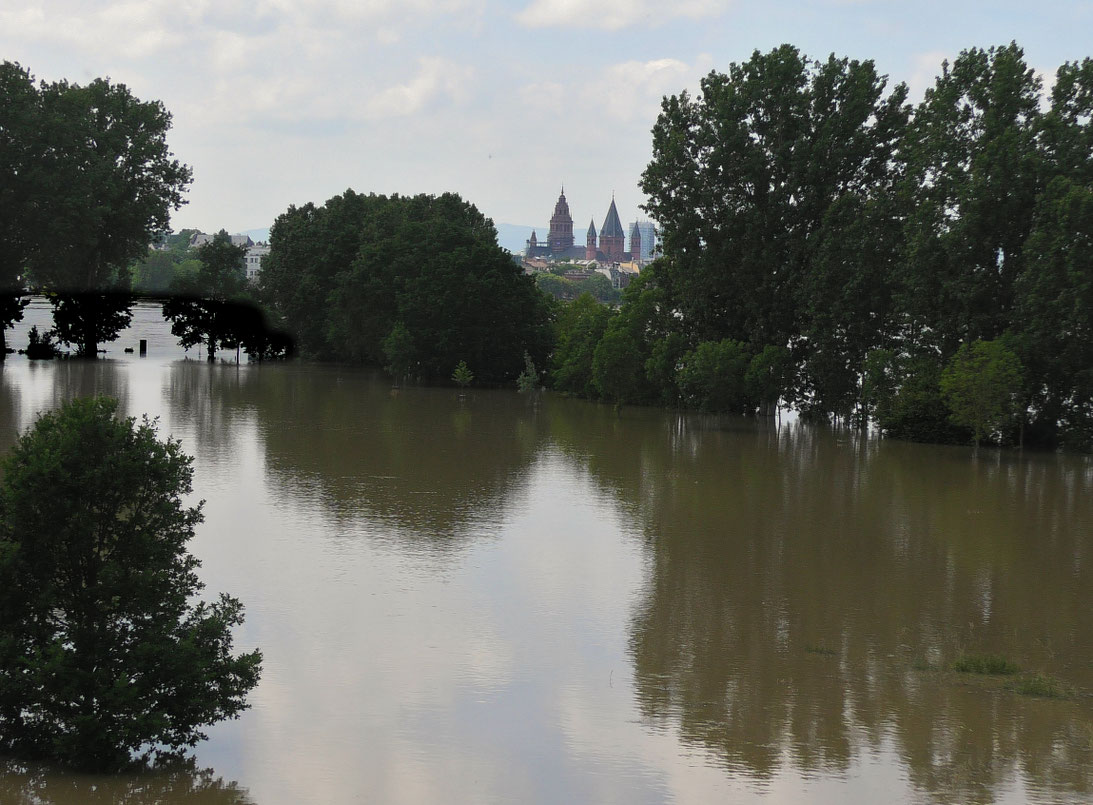 Blick auf den Mainzer Dom