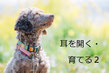 聞こうとしない音がある