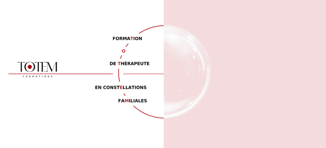Centre de formation en Constellations Familiales et Systémiques