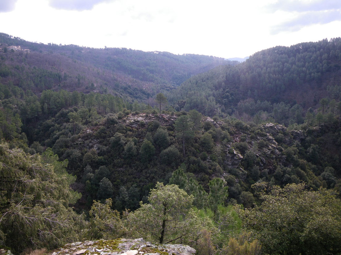 Environnement Site officiel de la commune de Cendras 30480 Gard