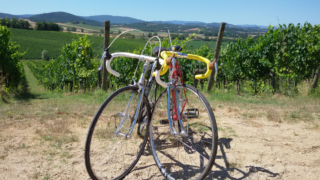 eroica bikes for sale