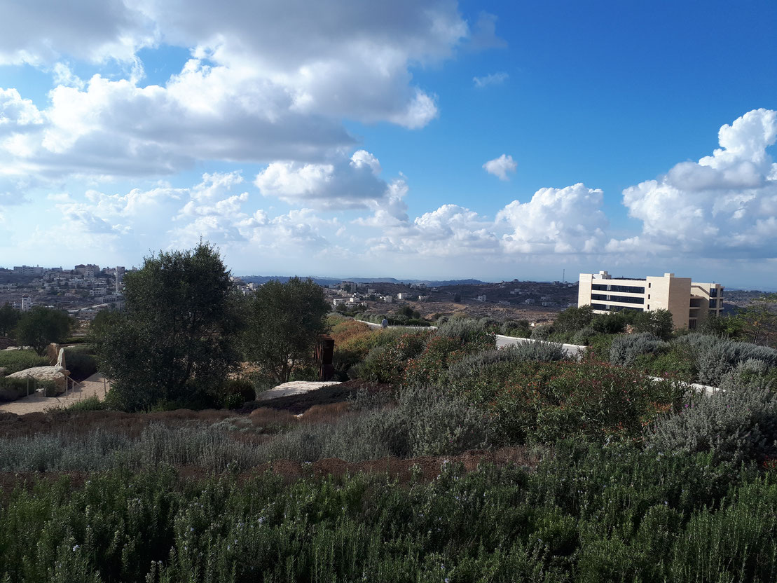 Blick aus dem Museumsgarten auf dem Unicampus. An Horizont kann man sogar Tel Aviv sehen (auf dem Foto leider nicht).