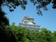 2010/06