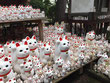 les maneki neko du temple gotokuji avec un guide francophone japon prive