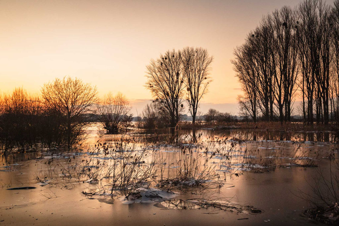 Die vereiste Winterlandschaft Urdenbacher Kämpe in Düsseldorf bei Sonnenuntergang