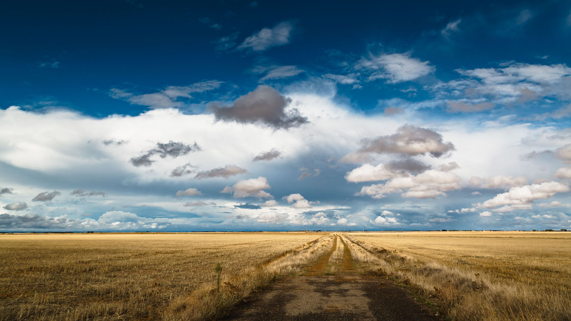 Die Meseta Landschaft in Spanien mit Kornfeldern und dunkelblau bewölktem Himmel (Landschaftsfotograf)