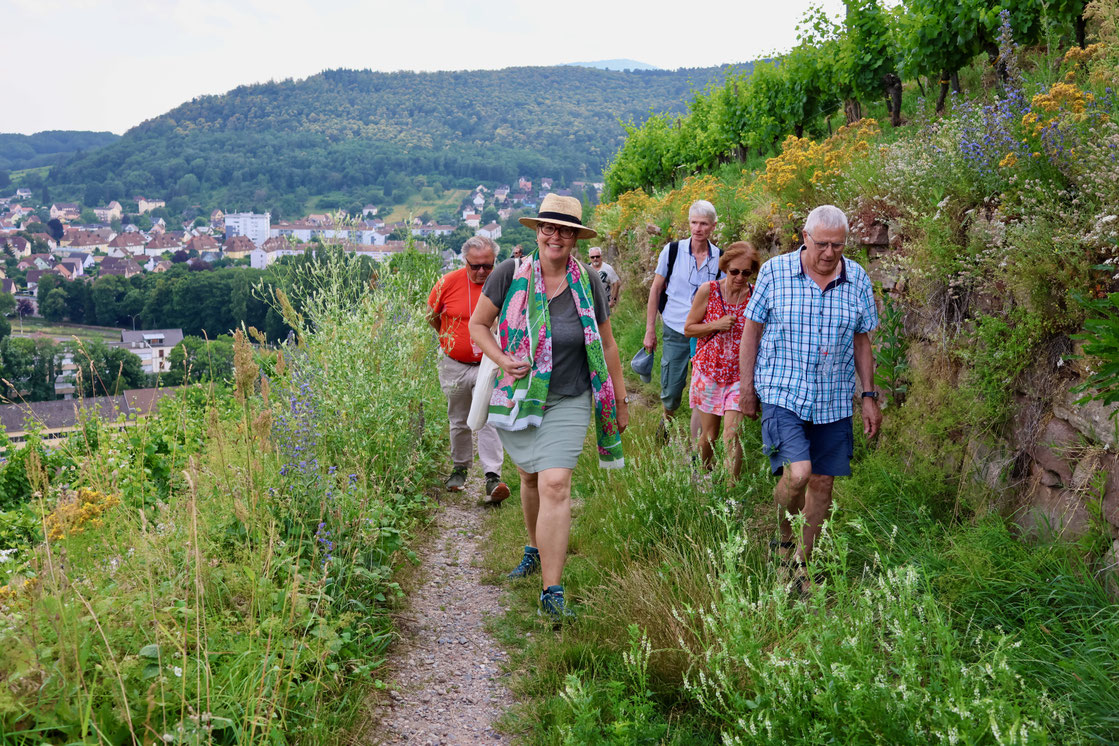 Visite guidée "Histoires de Terroirs en Alsace" avec Chemins Bio en Alsace, Caroline Claude-Bronner guide-conférencier en Alsace  - (Photographie : Cécile Modanese)