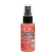 ABANDONED CORAL OXIDE SPRAY
