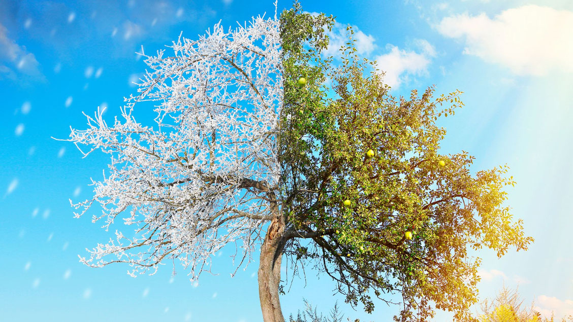Foto: canva.com
