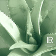 Aloe Vera LR