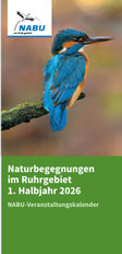 Bild der ersten Seite des Terminflyers. Esist ein Eisvogel auf einem Zweig abgebildet.