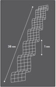 Sika Fiber Xorex