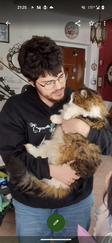 Katzensitter in Stuttgart und Bad Cannstatt, Katzensitting, Katzenbetreuung, Tierbetreuung