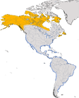 Karte zur Verbreitung des Amerikanischen Sandregenpfeifers (Charadrius semipalmatus)