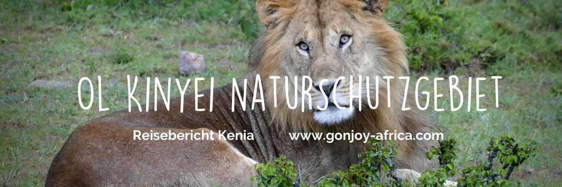 Reisebericht Kenia Ol Kinyei