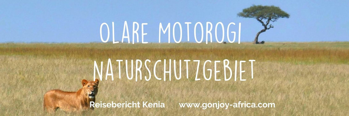 Olare Motorogi Reisebericht Kenia Safari