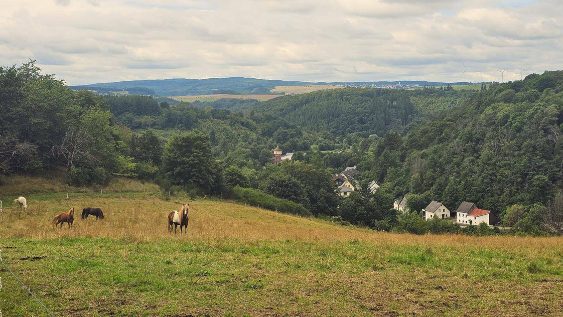 hunsrück, rheinland-pfalz, traumschleife, wandertipp